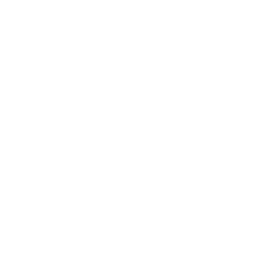 icon1