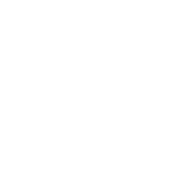 icon1